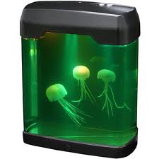 Аквариум с медузами