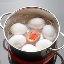 Индикатор готовности яиц