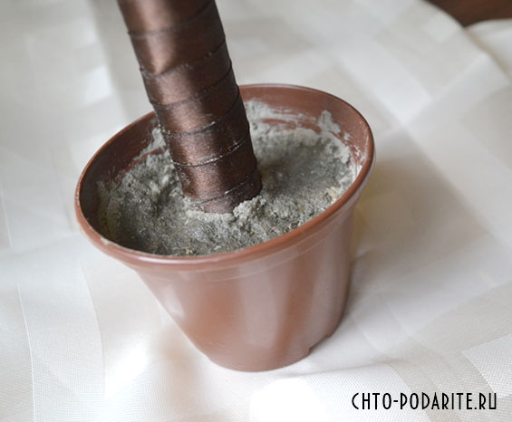 Закрепляем топиарий в горшке с помощью цементного раствора