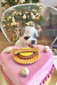 торт на новый год собаки 2018